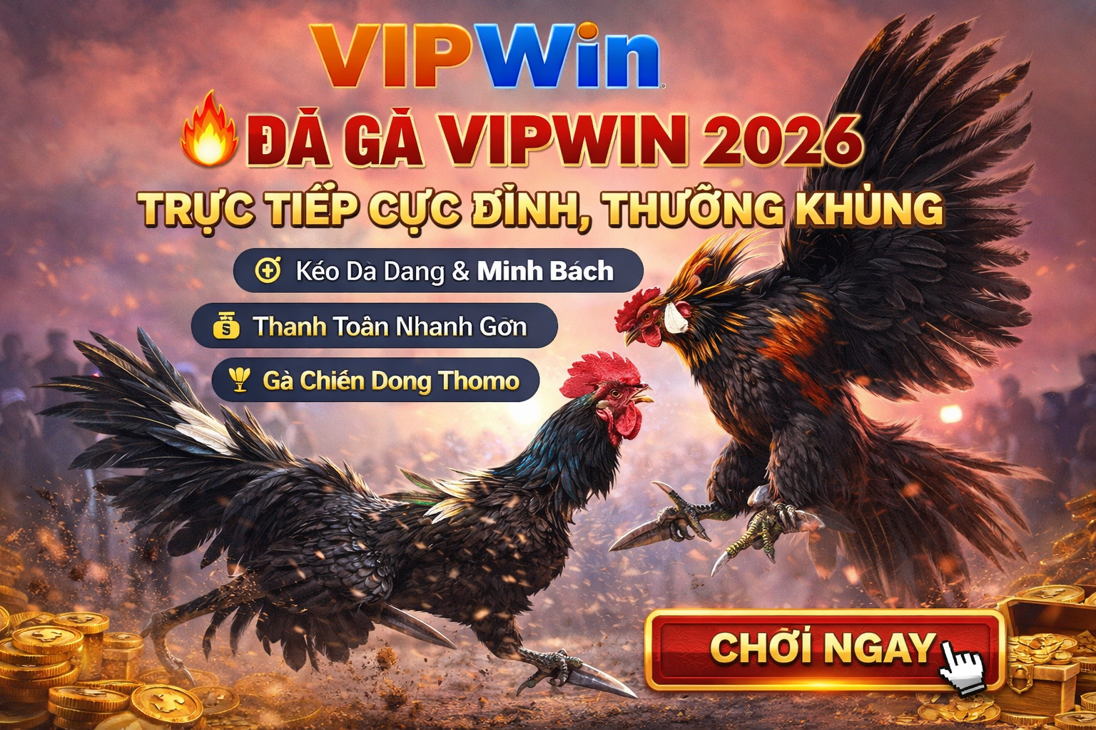 Đá gà VIPWIN 2026 hấp dẫn